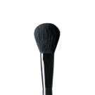 Blush Brush