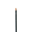 Lip Brush