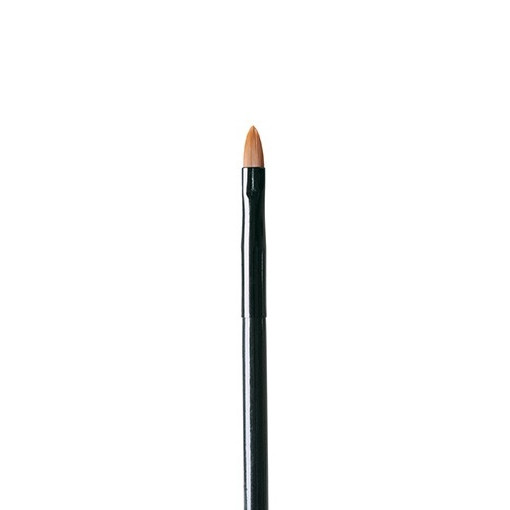 Lip Brush